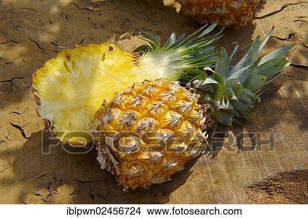 "Pineapple, cut" View Large Photo Image Picture - "Pineapple, cut". Fotosearch