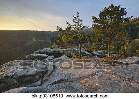 "Pines and rocks on Klein Winterberg Mountain in the morning light, Saxon Switzerland, Bad Schandau, Saxon Switzerland region, Saxony, Germany, Europe" View Large Photo Image Stock Image - "Pines and rocks on Klein Winterberg Mountain in the morning light, Saxon Switzerland, Bad Schandau, Saxon Switzerland region, Saxony, Germany, Europe". Fotosearch