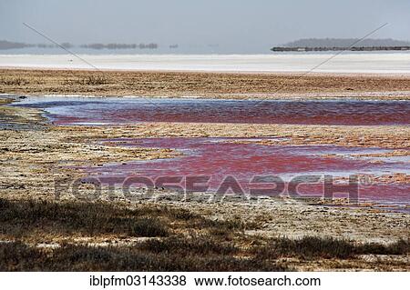 "Pink Lake, Port Gregory, Western Australia, Australia, Oceania" View Large Photo Image Stock Photo - "Pink Lake, Port Gregory, Western Australia, Australia, Oceania". Fotosearch