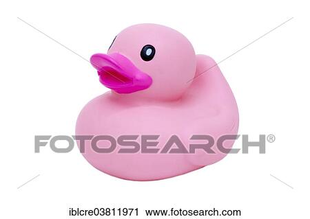 Stock Image - Pink rubber duck. Fotosearch