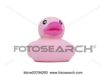 Stock Image - Pink rubber ducky. Fotosearch