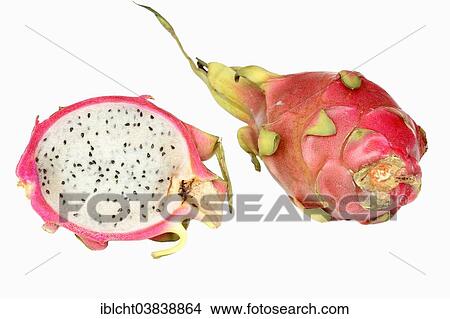 "Pitahaya or Dragonfruit (Hylocereus undatus), halved fruit" View Large Photo Image Picture - "Pitahaya or Dragonfruit (Hylocereus undatus), halved fruit". Fotosearch