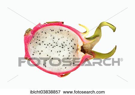 "Pitahaya or Dragonfruit (Hylocereus undatus), halved fruit" View Large Photo Image Stock Photo - "Pitahaya or Dragonfruit (Hylocereus undatus), halved fruit". Fotosearch