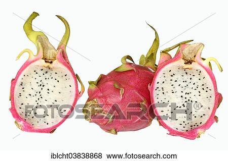 "Pitahaya or Dragonfruit (Hylocereus undatus), whole and halved fruit" View Large Photo Image Stock Photo - "Pitahaya or Dragonfruit (Hylocereus undatus), whole and halved fruit". Fotosearch