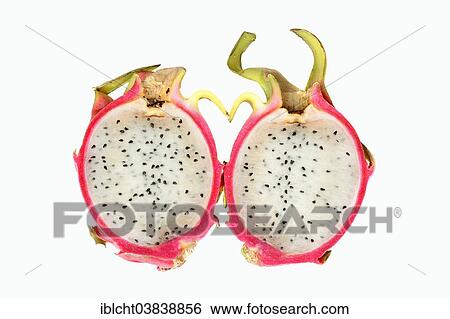 "Pitahaya or Dragonfruit (Hylocereus undatus), halved fruit" View Large Photo Image Stock Photograph - "Pitahaya or Dragonfruit (Hylocereus undatus), halved fruit". Fotosearch