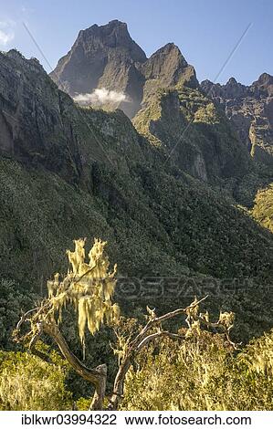 Stock Image - "Piton des Neiges above Cilaos basin, Cirque de Cilaos, Reunion, Africa". Fotosearch