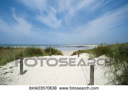 Stock Photo - "Plage de la Torche, dunes, Departement Finistere, Brittany, France, Europe". Fotosearch