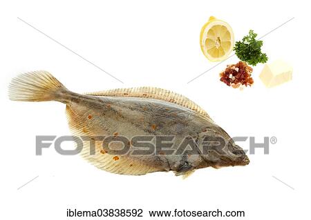 "Plaice with butter, bacon, parsley and lemon, ingredients for the dish Plaice Finkenwerder style" View Large Photo Image Stock Image - "Plaice with butter, bacon, parsley and lemon, ingredients for the dish Plaice Finkenwerder style". Fotosearch