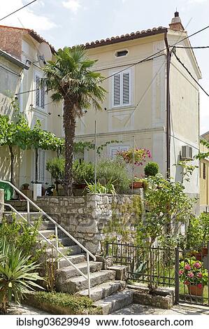 "Plant decorations on a staircase outside a house, historic center, Omisalj, Krk, Kvarner Gulf, Croatia, Europe" View Large Photo Image Stock Photo - "Plant decorations on a staircase outside a house, historic center, Omisalj, Krk, Kvarner Gulf, Croatia, Europe". Fotosearch
