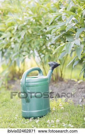 Plastic green watering can on grass in garden View Large Photo Image Stock Image - Plastic green watering can on grass in garden. Fotosearch