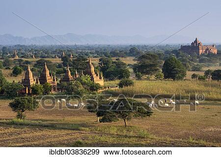 "Plateau of Bagan, Pyathadar or Pyathatgyi Temple, Mandalay Division, Burma" View Large Photo Image Stock Photo - "Plateau of Bagan, Pyathadar or Pyathatgyi Temple, Mandalay Division, Burma". Fotosearch