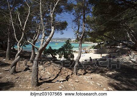 "Platja S'Arenal beach, Portocolom, Mallorca, Majorca, Balearic Islands, Spain, Europe" View Large Photo Image Stock Photography - "Platja S'Arenal beach, Portocolom, Mallorca, Majorca, Balearic Islands, Spain, Europe". Fotosearch