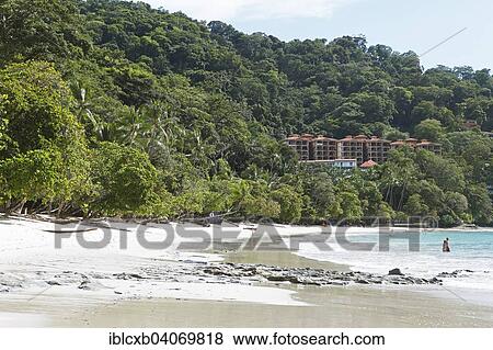 "Playa Blanca beach, Pacific Coast, Punta Leona, Costa Rica, North America" View Large Photo Image Stock Photo - "Playa Blanca beach, Pacific Coast, Punta Leona, Costa Rica, North America". Fotosearch
