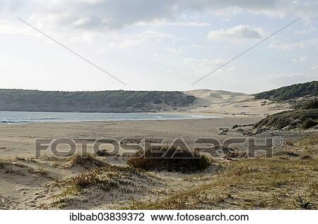 Stock Image - "Playa de Bolonia, beach, Tarifa, Cadiz Province, Costa de la Luz, Andalusia, Spain, Europe". Fotosearch