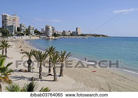 "Playa de la Albufereta, beach, La Albufereta, Alicante, Province of Alicante, Spain, Europe" View Large Photo Image Stock Photography - "Playa de la Albufereta, beach, La Albufereta, Alicante, Province of Alicante, Spain, Europe". Fotosearch