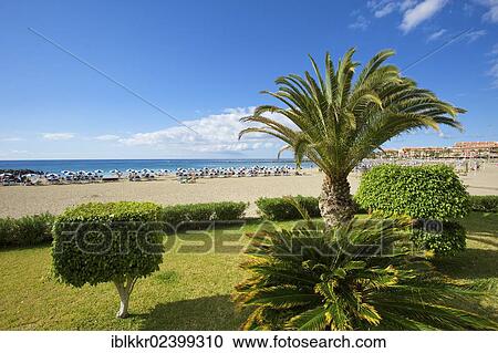 Stock Image - "Playa de las Vistas beach in Los Cristianos, Tenerife, Canary Islands, Spain, Europe". Fotosearch