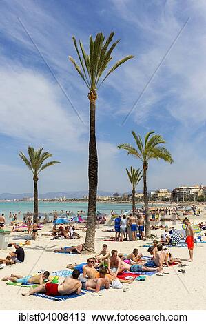 "Playa de Palma, Bay of Palma, Majorca, Balearic Islands, Spain, Europe" View Large Photo Image Stock Image - "Playa de Palma, Bay of Palma, Majorca, Balearic Islands, Spain, Europe". Fotosearch