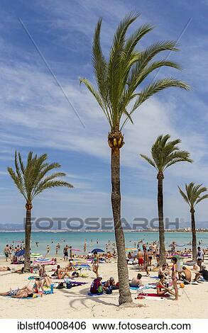 Stock Photograph - "Playa de Palma, Bay of Palma, Majorca, Balearic Islands, Spain, Europe". Fotosearch