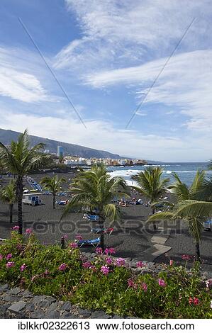 Stock Image - "Playa Jardin in Puerto de la Cruz, Tenerife, Canary Islands, Spain, Europe". Fotosearch