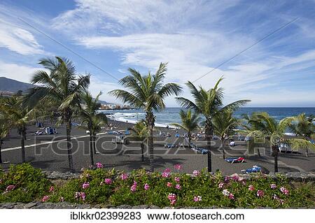 Stock Image - "Playa Jardin in Puerto de la Cruz, Tenerife, Canary Islands, Spain, Europe". Fotosearch