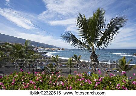 Playa Jardin In Puerto De La Cruz Tenerife Canary Islands Spain