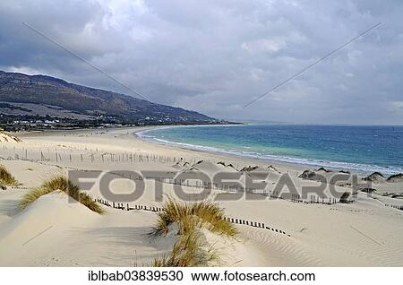"Playa Punta Paloma, beach, Tarifa, Cadiz Province, Costa de la Luz, Andalusia, Spain, Europe" View Large Photo Image Stock Image - "Playa Punta Paloma, beach, Tarifa, Cadiz Province, Costa de la Luz, Andalusia, Spain, Europe". Fotosearch