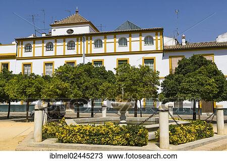 "Plaza Patio de Banderas, The Barrio de Santa Cruz, Seville, Sevilla, Andalusia, Spain, Europe" View Large Photo Image Stock Image - "Plaza Patio de Banderas, The Barrio de Santa Cruz, Seville, Sevilla, Andalusia, Spain, Europe". Fotosearch