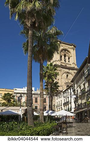 "Plaza Romanilla with the tower of the Granada Cathedral, Granada, Andalucia, Spain, Europe" View Large Photo Image Picture - "Plaza Romanilla with the tower of the Granada Cathedral, Granada, Andalucia, Spain, Europe". Fotosearch