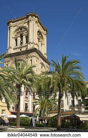 "Plaza Romanilla with the tower of the Granada Cathedral, Granada, Andalucia, Spain, Europe" View Large Photo Image Stock Photo - "Plaza Romanilla with the tower of the Granada Cathedral, Granada, Andalucia, Spain, Europe". Fotosearch