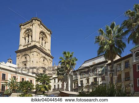 "Plaza Romanilla with the tower of the Granada Cathedral, Granada, Andalucia, Spain, Europe" View Large Photo Image Stock Photograph - "Plaza Romanilla with the tower of the Granada Cathedral, Granada, Andalucia, Spain, Europe". Fotosearch