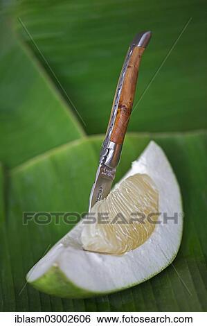 Pocket knife sticking in a segment of a pomelo fruit lying on a banana leaf View Large Photo Image Stock Photograph - Pocket knife sticking in a segment of a pomelo fruit lying on a banana leaf. Fotosearch