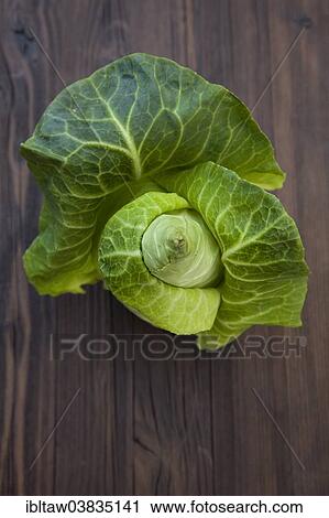 "Pointed cabbage, organic vegetable" View Large Photo Image Stock Image - "Pointed cabbage, organic vegetable". Fotosearch