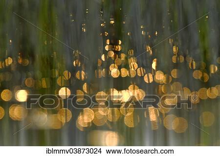 "Points of light in the evening light, Mecklenburgische Seenplatte, Mecklenburg-Western Pomerania, Germany, Europe" View Large Photo Image Picture - "Points of light in the evening light, Mecklenburgische Seenplatte, Mecklenburg-Western Pomerania, Germany, Europe". Fotosearch