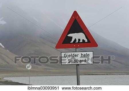 "Polar bear warning sign, Longyearbyen, Spitsbergen Island, Svalbard Archipelago, Svalbard and Jan Mayen, Norway, Europe" View Large Photo Image Stock Image - "Polar bear warning sign, Longyearbyen, Spitsbergen Island, Svalbard Archipelago, Svalbard and Jan Mayen, Norway, Europe". Fotosearch
