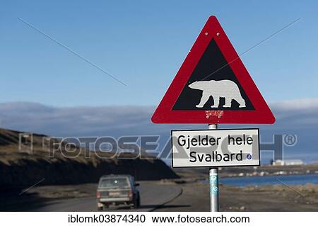 "Polar Bear warning sign, Longyearbyen, Spitsbergen, Svalbard Archipelago, Svalbard and Jan Mayen, Norway, Europe" View Large Photo Image Stock Image - "Polar Bear warning sign, Longyearbyen, Spitsbergen, Svalbard Archipelago, Svalbard and Jan Mayen, Norway, Europe". Fotosearch