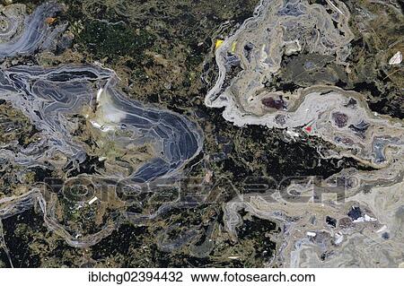 "Polluted water, Saint Malo, Ille et Vilaine, Brittany, Bretagne, France, Europe" View Large Photo Image Stock Image - "Polluted water, Saint Malo, Ille et Vilaine, Brittany, Bretagne, France, Europe". Fotosearch