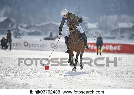 "Polo player of the Parmigiani Team, Polo on Snow, Polo tournament, 11th Valartis Bank Snow Polo World Cup 2013, Kitzbuhel, Tyrol, Austria, Europe" View Large Photo Image Stock Photo - "Polo player of the Parmigiani Team, Polo on Snow, Polo tournament, 11th Valartis Bank Snow Polo World Cup 2013, Kitzbuhel, Tyrol, Austria, Europe". Fotosearch