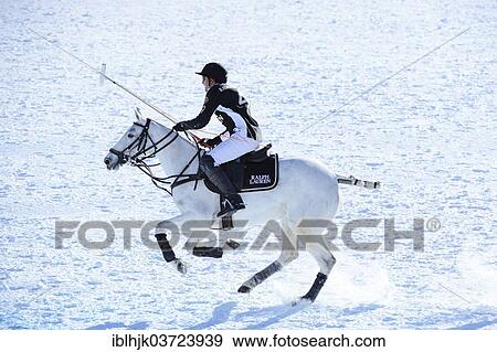 "Polo tournament, 28th St. Moritz Polo World Cup on Snow on the frozen Lake St. Moritz, St. Moritz, Engadin, Graubunden, Switzerland, Europe" View Large Photo Image Stock Photo - "Polo tournament, 28th St. Moritz Polo World Cup on Snow on the frozen Lake St. Moritz, St. Moritz, Engadin, Graubunden, Switzerland, Europe". Fotosearch