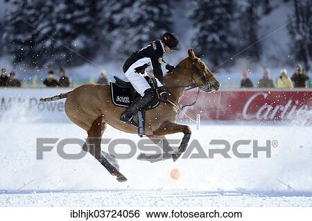 Stock Photograph - "Polo tournament, 28th St. Moritz Polo World Cup on Snow on the frozen Lake St. Moritz, St. Moritz, Engadin, Graubunden, Switzerland, Europe". Fotosearch