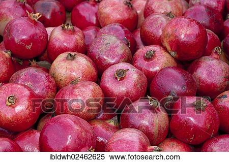 "Pomegranates at a market stall, Dortmund, Ruhr area, North Rhine-Westphalia, Germany, Europe, PublicGround, Europe" View Large Photo Image Stock Photography - "Pomegranates at a market stall, Dortmund, Ruhr area, North Rhine-Westphalia, Germany, Europe, PublicGround, Europe". Fotosearch