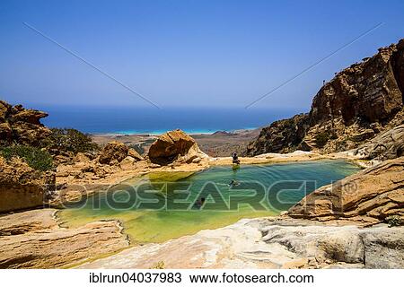 "Pond at the coast, Homhil protected area, island of Socotra, Yemen, Asia" View Large Photo Image Stock Image - "Pond at the coast, Homhil protected area, island of Socotra, Yemen, Asia". Fotosearch