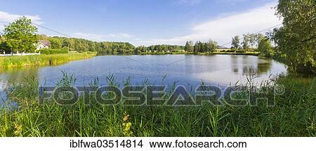 Picture - "Pond, Franzen, Waldviertel, Lower Austria, Austria, Europe". Fotosearch