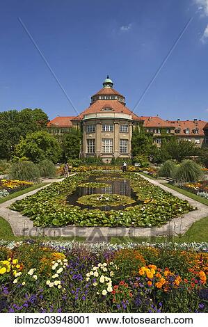 "Pond in the Botanical Garden, behind the administration building, Munich, Upper Bavaria, Bavaria, Germany, Europe" View Large Photo Image Stock Image - "Pond in the Botanical Garden, behind the administration building, Munich, Upper Bavaria, Bavaria, Germany, Europe". Fotosearch