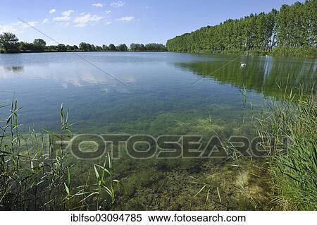 "Pond landscape, renaturated opencast pits, Herbslebener Teiche Nature Reserve, Herbsleben, Thuringia, Germany, Europe" View Large Photo Image Stock Photography - "Pond landscape, renaturated opencast pits, Herbslebener Teiche Nature Reserve, Herbsleben, Thuringia, Germany, Europe". Fotosearch