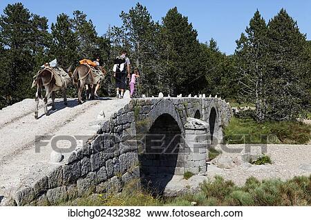 "Pont du Tarn, Tarn river, The Causses and the Cevennes, UNESCO World Heritage, Cevennes National Park, Parc National des Cevennes, UNESCO Biosphere Reserve, Mont Lozere, Pont de Montvert, Lozere, Languedoc-Roussillon, France, Europe" View Large Photo Image Stock Image - "Pont du Tarn, Tarn river, The Causses and the Cevennes, UNESCO World Heritage, Cevennes National Park, Parc National des Cevennes, UNESCO Biosphere Reserve, Mont Lozere, Pont de Montvert, Lozere, Languedoc-Roussillon, France, Europe". Fotosearch