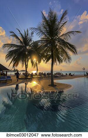 "Pool area of Paradise Island, Indian Ocean, Lankanfinolhu, North Male Atoll, Maldives, Asia" View Large Photo Image Stock Photo - "Pool area of Paradise Island, Indian Ocean, Lankanfinolhu, North Male Atoll, Maldives, Asia". Fotosearch