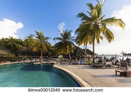 "Pool area, Paradise Island, Paradise Island, Lankanfinolhu, North Male Atoll, Maldives, Asia" View Large Photo Image Stock Photo - "Pool area, Paradise Island, Paradise Island, Lankanfinolhu, North Male Atoll, Maldives, Asia". Fotosearch