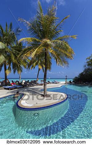 "Pool area, Paradise Island, Paradise Island, Lankanfinolhu, North Male Atoll, Maldives, Asia" View Large Photo Image Stock Photography - "Pool area, Paradise Island, Paradise Island, Lankanfinolhu, North Male Atoll, Maldives, Asia". Fotosearch