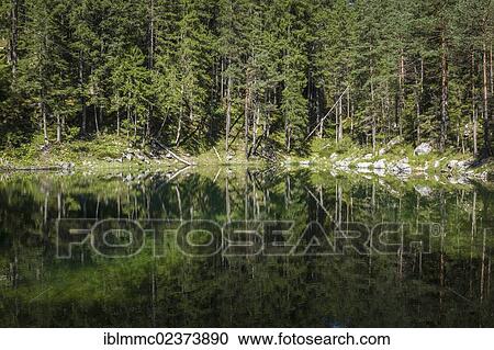 "Pool at Eibsee lake, Bavaria, Germany, Europe" View Large Photo Image Stock Image - "Pool at Eibsee lake, Bavaria, Germany, Europe". Fotosearch