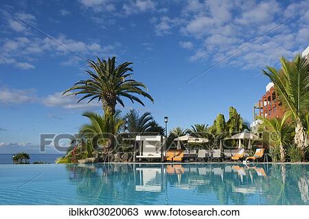 "Pool of the Roca Nivaria Hotel, Costa Adeje, Tenerife, Canary Islands, Spain, Europe" View Large Photo Image Stock Image - "Pool of the Roca Nivaria Hotel, Costa Adeje, Tenerife, Canary Islands, Spain, Europe". Fotosearch